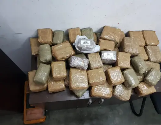 في عمليتين منفصلتين.. إحباط تهريب 200 كلغ من الحشيش عبر الميناء المتوسطي