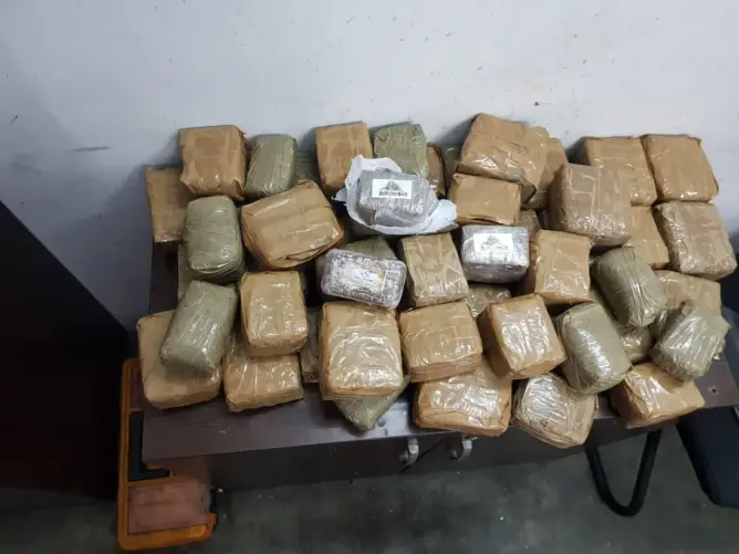 في عمليتين منفصلتين.. إحباط تهريب 200 كلغ من الحشيش عبر الميناء المتوسطي