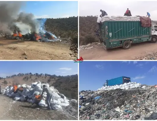 للمرة الثانية.. درك مولاي بوعزة يحجز 17 طنا من مخلفات الدجاج معدة لتسمين المواشي