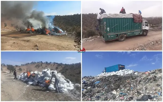 للمرة الثانية.. درك مولاي بوعزة يحجز 17 طنا من مخلفات الدجاج معدة لتسمين المواشي