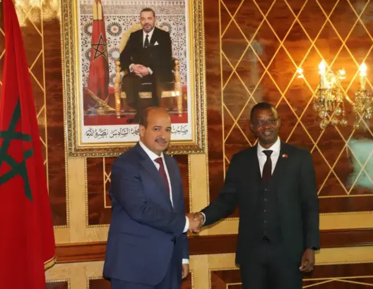 في لقاء بالنعم ميارة.. رئيس مجلس الشيوخ البروندي يدعو الأفارقة للاستفادة من التجربة المغربية
