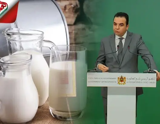الحكومة تضع اللمسات الأخيرة على إجراءات لتوفير الحليب للمغاربة