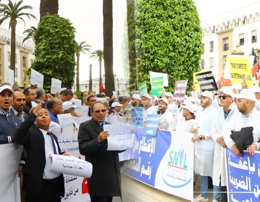 المهندسون والبياطرة يحتجون أمام البرلمان رفضا لاقتطاع الضريبة من المنبع