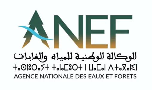 مباريات لتوظيف 118 منصبا بالوكالة الوطنية للمياه والغابات