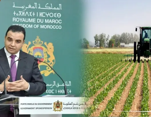 الحكومة تعلن عن إجراءات لمواكبة الموسم الفلاحي