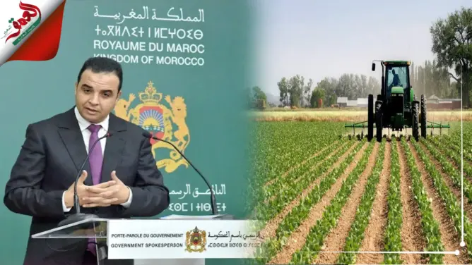 الحكومة تعلن عن إجراءات لمواكبة الموسم الفلاحي