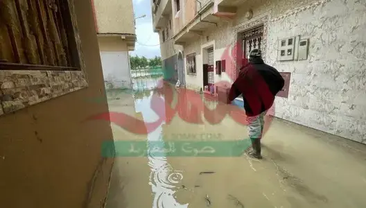 الأمطار تغرق شوارع طنجة.. سيول جرفت السيارات ومنازل غمرتها المياه (فيديو)