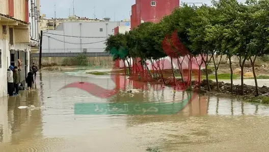 الأمطار تغرق شوارع طنجة.. سيول جرفت السيارات ومنازل غمرتها المياه (فيديو)
