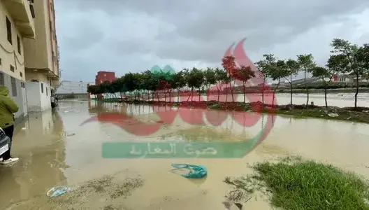 الأمطار تغرق شوارع طنجة.. سيول جرفت السيارات ومنازل غمرتها المياه (فيديو)
