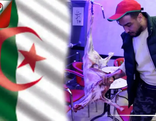 ذبح خروف بمناسبة تأهل الأسود لنصف النهائي