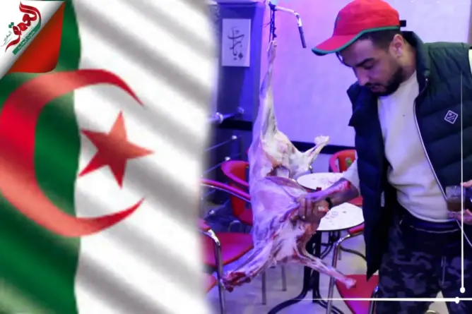 ذبح خروف بمناسبة تأهل الأسود لنصف النهائي