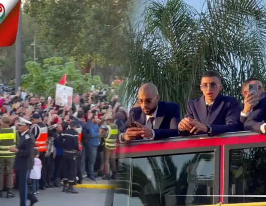 مشاهد تاريخية في استقبال أسود الأطلس وأمهاتهم
