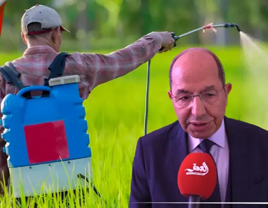 تدبير عبوات المبيدات الفارغة يستنفر الفاعلين في قطاع الفلاحة بسوس (فيديو)