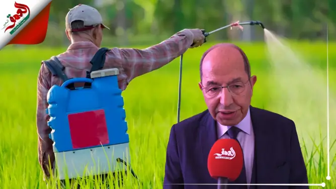 تدبير عبوات المبيدات الفارغة يستنفر الفاعلين في قطاع الفلاحة بسوس (فيديو)