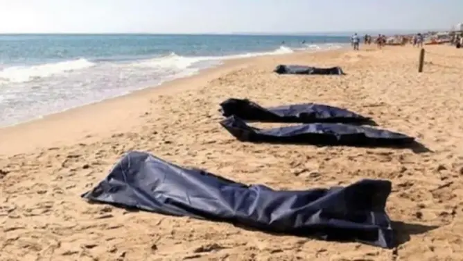 انتشال 14 جثة وفقدان العشرات من المهاجرين بسواحل تونس