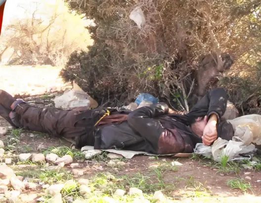 شاب مغربي مثقف.. من حارس أمن بمحكمة بأبوظبي إلى متشرد في غابة بأكادير (فيديو)