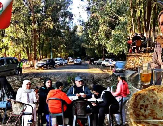 دكاليون يختارون غابة الحوزية كمتنفس لقضاء عطلة نهاية الأسبوع