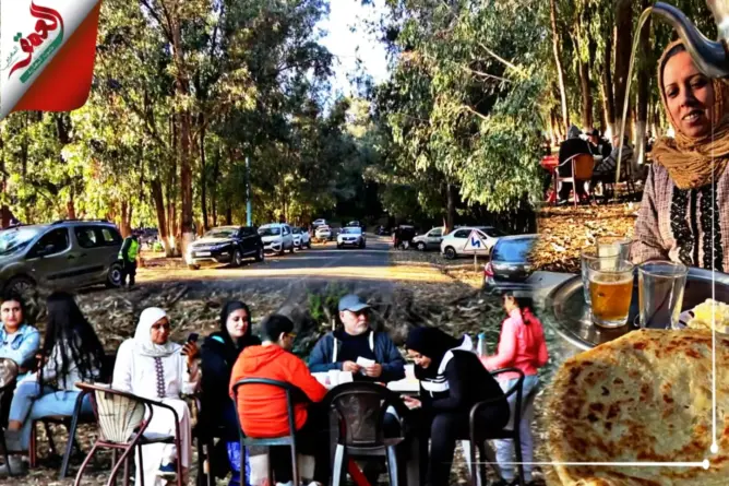 دكاليون يختارون غابة الحوزية كمتنفس لقضاء عطلة نهاية الأسبوع