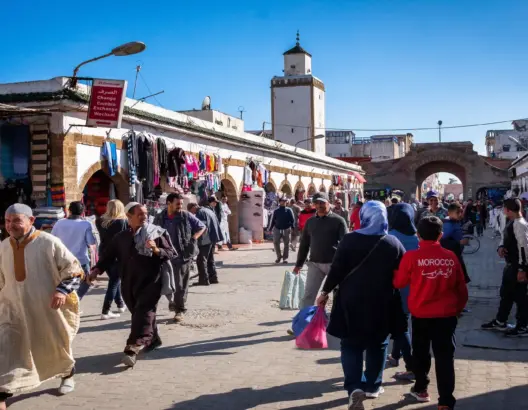 دراسة: 85% من المغاربة يفضلون التشغيل الذاتي والعمل في القطاع العمومي