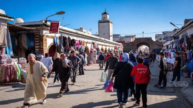 دراسة: 85% من المغاربة يفضلون التشغيل الذاتي والعمل في القطاع العمومي