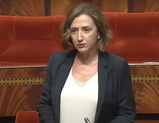 عمور: قروض النقل السياحي تم تأجيلها لمدة سنة.. وبامنصور: بعض الأبناك خالفت قرارات الحكومة