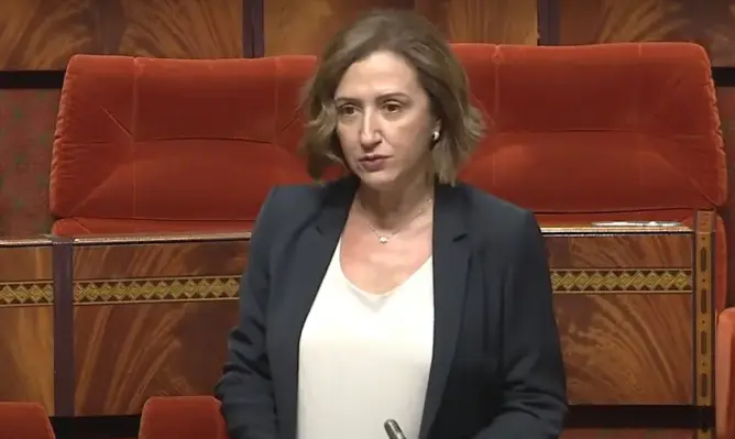 عمور: قروض النقل السياحي تم تأجيلها لمدة سنة.. وبامنصور: بعض الأبناك خالفت قرارات الحكومة