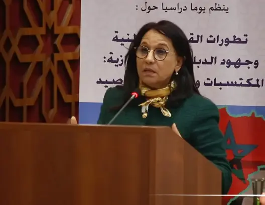 بوعيّاش ومقاربة تدبير الشأن الحقوقي بالمغرب