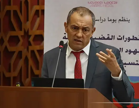 أحمد رضى الشامي والنموذج التنموي الجديد للأقاليم الجنوبية