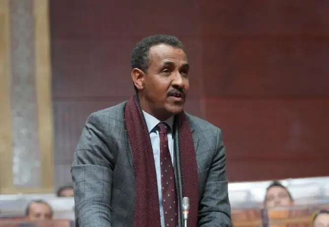الفريق الاشتراكي: قرار البرلمان الأوروبي تحول خطير يخدم مصالح لوبيات تعادي المغرب