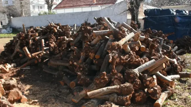 إقبال ضعيف على حطب التدفئة بإيموزار