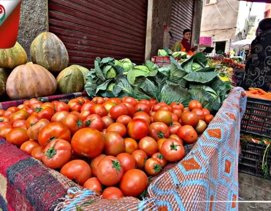 ارتفاع سعر الطماطم يُلهب الجيوب