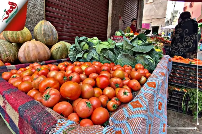 ارتفاع سعر الطماطم يُلهب الجيوب