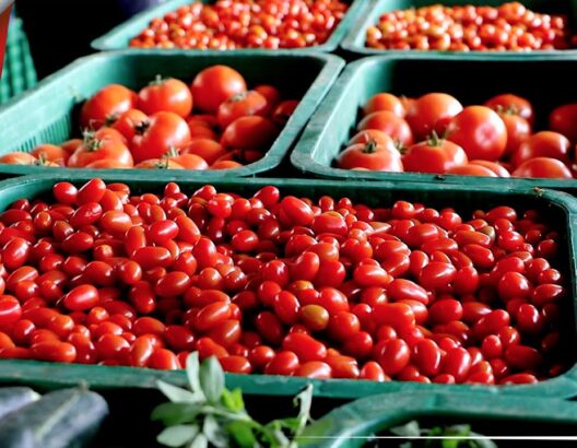 سوق الجملة - طماطم - خضر - سوق الجملة بالدار البيضاء - ارتفاع أسعار الخضر