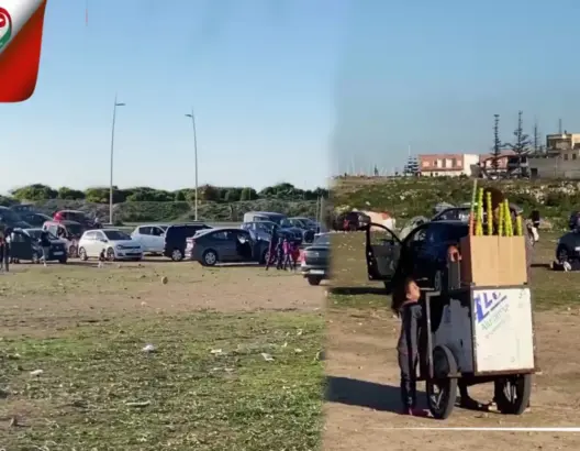 “بوسيجور”.. متنفس سكان الجديدة في ظل غياب مساحات خضراء بالمدينة