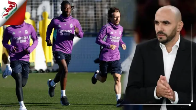 بحضور الركراكي.. ريال مدريد يخوض آخر حصة تدريبية قبل مواجهة الأهلي (فيديو)