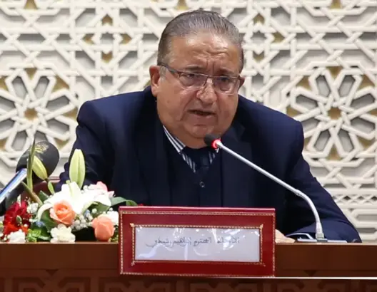 رشيدي: البرلمان الأوروبي يحاول تصريف أزمة الغاز باستعداء المغرب