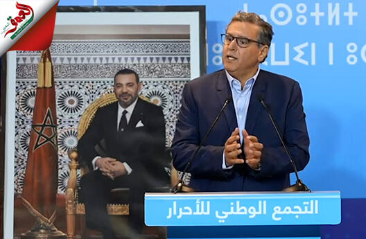 أخنوش يعدد إنجازات حكومته في قطاع الصحة