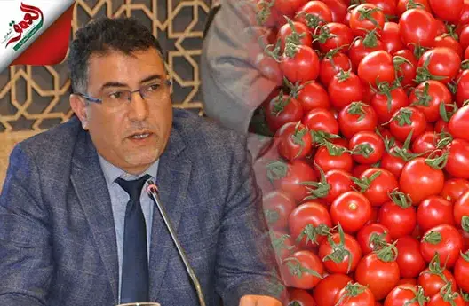 حموني يفضح وزير الفلاحة: الطماطم تدخل سوق الجملة ثم تصدر للخارج