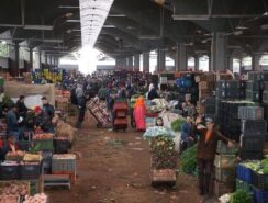سوق الجملة للخضر والفواكه الدار البيضاء