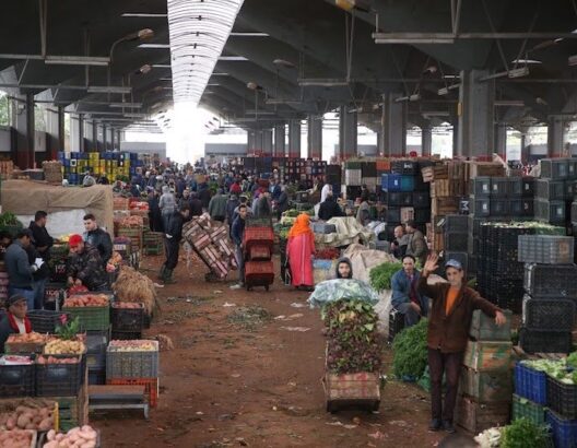 سوق الجملة للخضر والفواكه الدار البيضاء