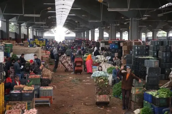 سوق الجملة للخضر والفواكه الدار البيضاء