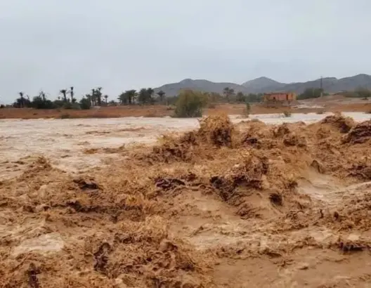 صندوق الكوارث وأضرار الفيضانات الأخيرة يجران نادية فتاح للمساءلة بالبرلمان