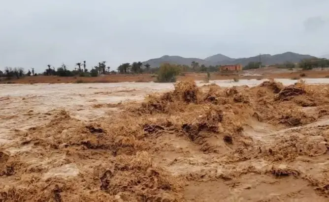 صندوق الكوارث وأضرار الفيضانات الأخيرة يجران نادية فتاح للمساءلة بالبرلمان