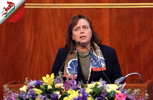 حيار: متوسط حجم الأسر تراجع بالمغرب