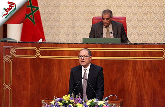 مدير CDG يدعو لمراعاة الخصوصيات المحلية في مشاريع الحماية الاجتماعية