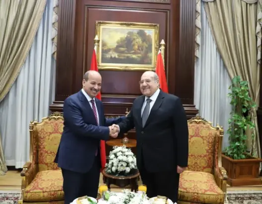 ميارة يتباحث مع نظرائه المصريين ويشيد بمواقف القاهرة تجاه المغرب