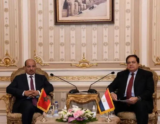 ميارة: يتوجب على المغرب ومصر القيام بواجباتهما تجاه القارة الإفريقية
