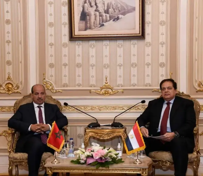 ميارة: يتوجب على المغرب ومصر القيام بواجباتهما تجاه القارة الإفريقية