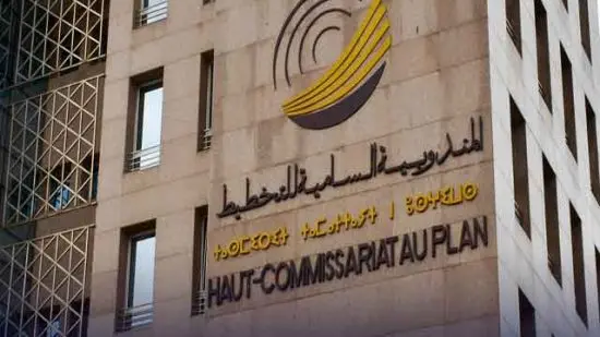 الحكومة تبرر اللجوء إلى المناولة في البحوث الإحصائية لمندوبية التخطيط بنزيف التقاعد