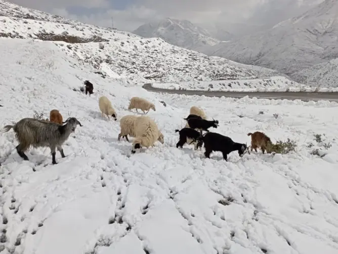 نشرة إنذارية: رياح قوية وثلوج تضرب عدة مناطق بالمغرب